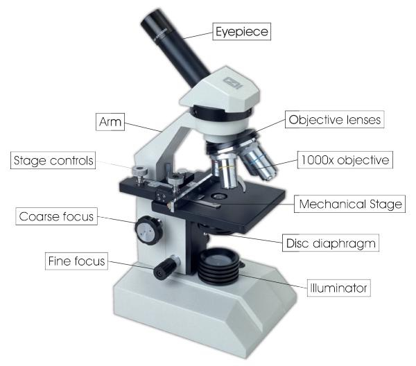 Optical microscopy (3LF) - WikiLectures