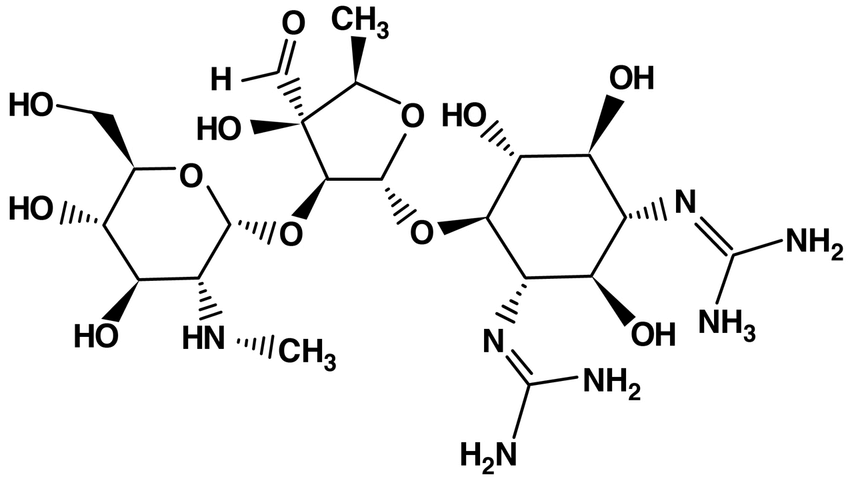 aminoglycosides-wikilectures