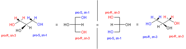 Glycerol - WikiLectures