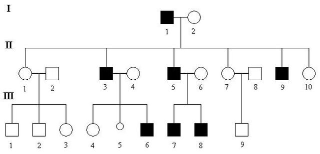 Y-linked inheritance - WikiLectures